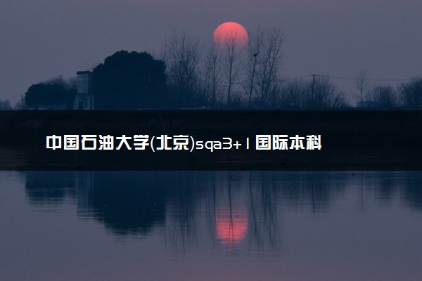 中国石油大学（北京）sqa3+1国际本科国际商务管理专业介绍