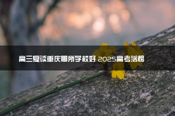 高三复读重庆哪所学校好 2025高考落榜如何选择