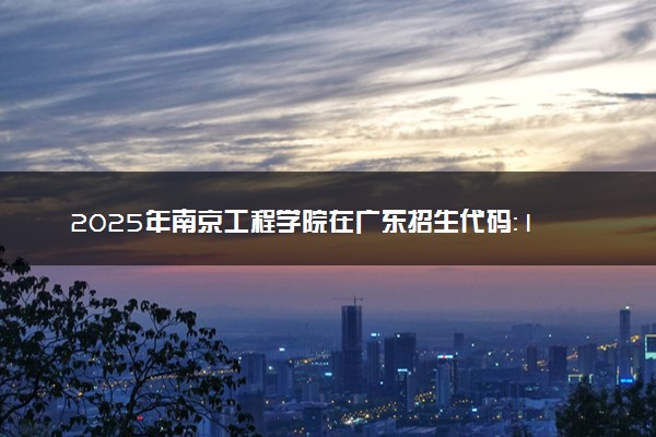 2025年南京工程学院在广东招生代码：11276 专业代码及报考指南