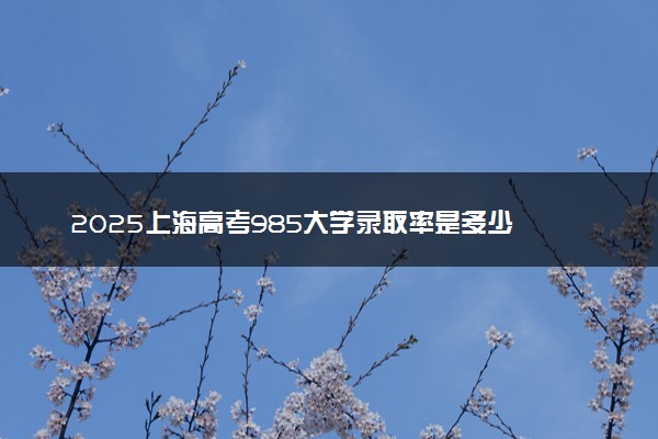 2025上海高考985大学录取率是多少