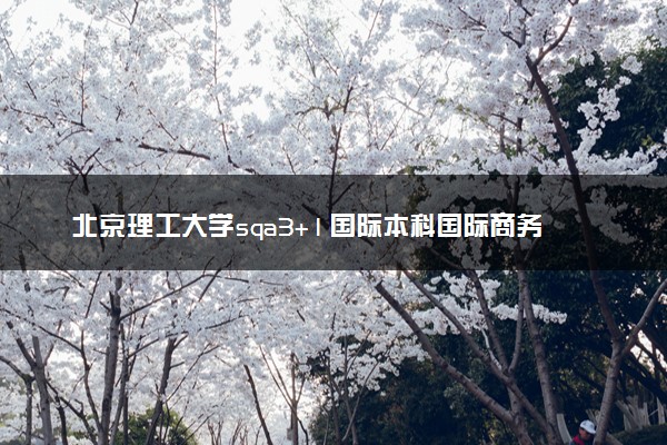 北京理工大学sqa3+1国际本科国际商务会计专业介绍