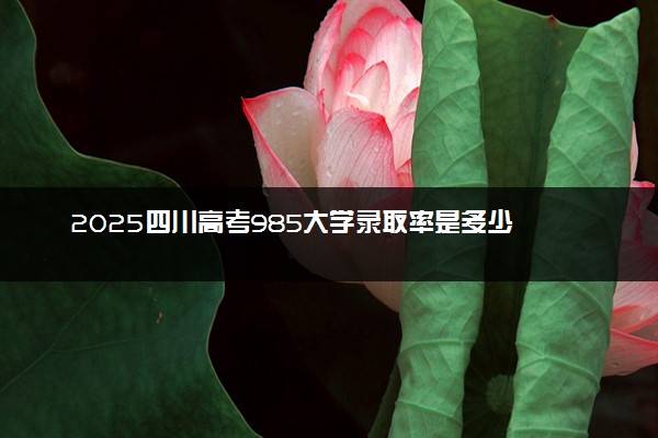 2025四川高考985大学录取率是多少