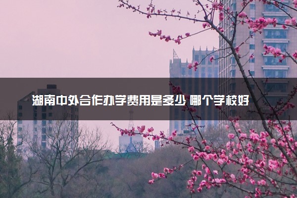湖南中外合作办学费用是多少 哪个学校好