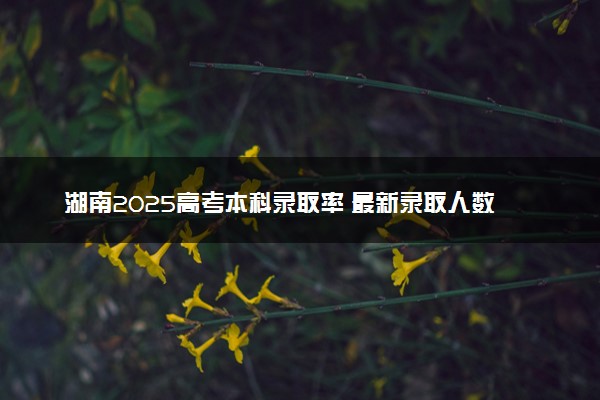 湖南2025高考本科录取率 最新录取人数