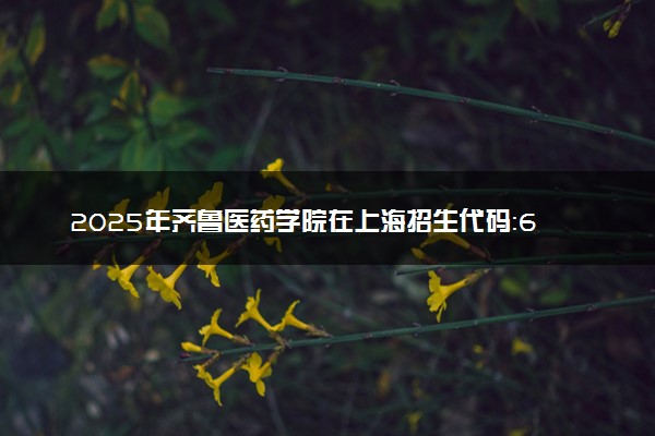 2025年齐鲁医药学院在上海招生代码：661 专业代码及报考指南