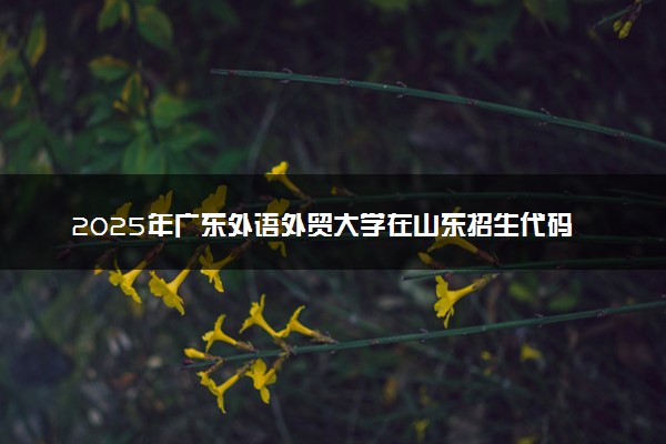 2025年广东外语外贸大学在山东招生代码：B846 专业代码及报考指南