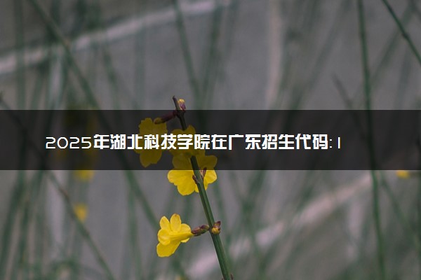 2025年湖北科技学院在广东招生代码：10927 专业代码及报考指南