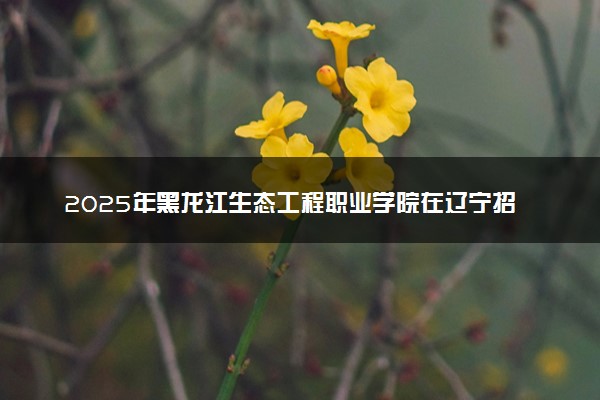 2025年黑龙江生态工程职业学院在辽宁招生代码：3731 专业代码及报考指南