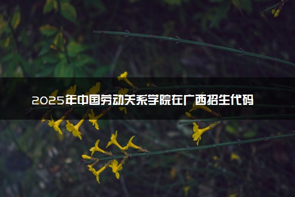 2025年中国劳动关系学院在广西招生代码及专业代码 中国劳动关系学院广西代码是多少？怎么查询？