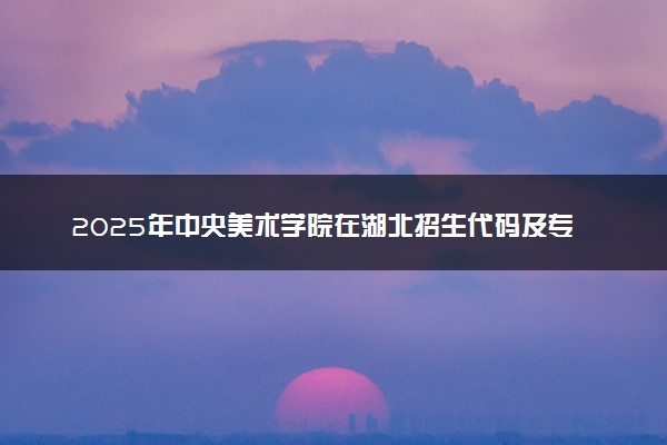 2025年中央美术学院在湖北招生代码及专业代码 中央美术学院湖北代码是多少？怎么查询？