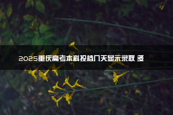 2025重庆高考本科投档几天显示录取 多少天知道录取结果