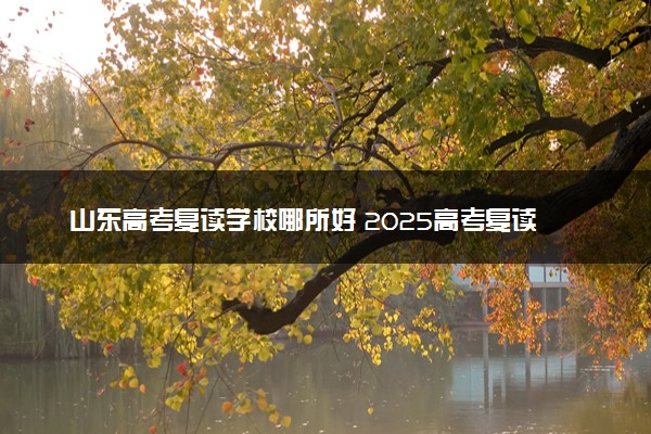 山东高考复读学校哪所好 2025高考复读机构排行榜
