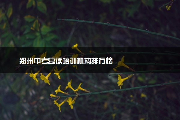 郑州中考复读培训机构排行榜