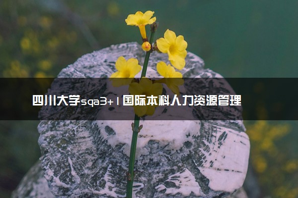 四川大学sqa3+1国际本科人力资源管理专业介绍