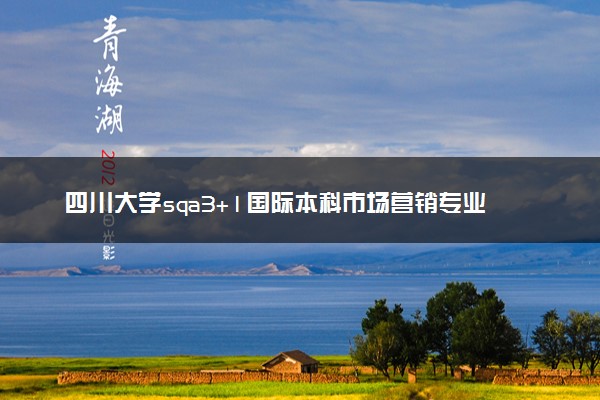 四川大学sqa3+1国际本科市场营销专业介绍