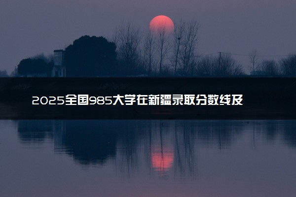 2025全国985大学在新疆录取分数线及位次排名