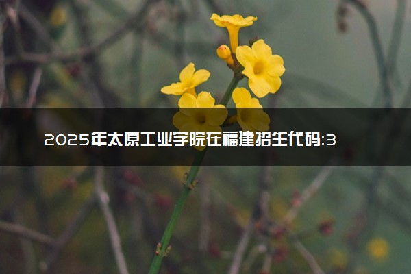 2025年太原工业学院在福建招生代码：3228 专业代码及报考指南