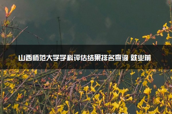 山西师范大学学科评估结果排名查询 就业前景好的王牌专业有哪些