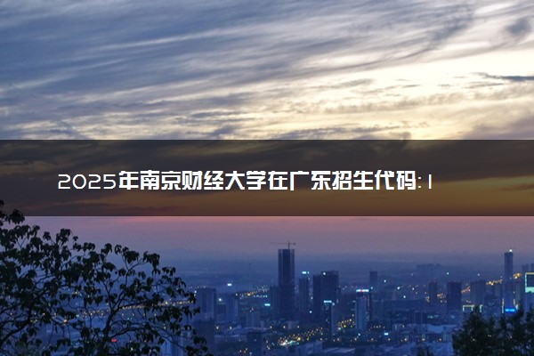 2025年南京财经大学在广东招生代码：10327 专业代码及报考指南