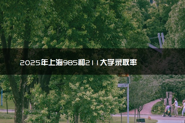 2025年上海985和211大学录取率 最新录取人数