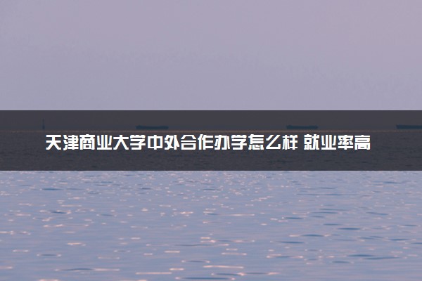 天津商业大学中外合作办学怎么样 就业率高吗