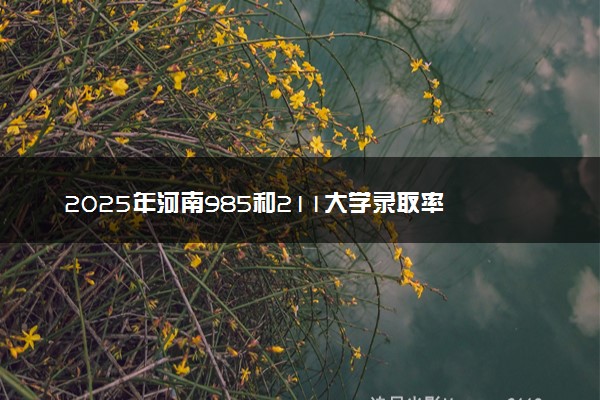 2025年河南985和211大学录取率 最新录取人数