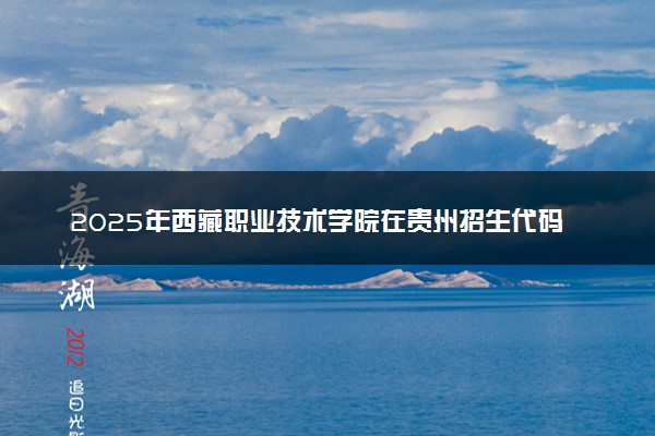 2025年西藏职业技术学院在贵州招生代码：2504 专业代码及报考指南
