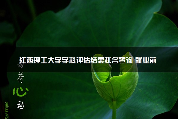 江西理工大学学科评估结果排名查询 就业前景好的王牌专业有哪些