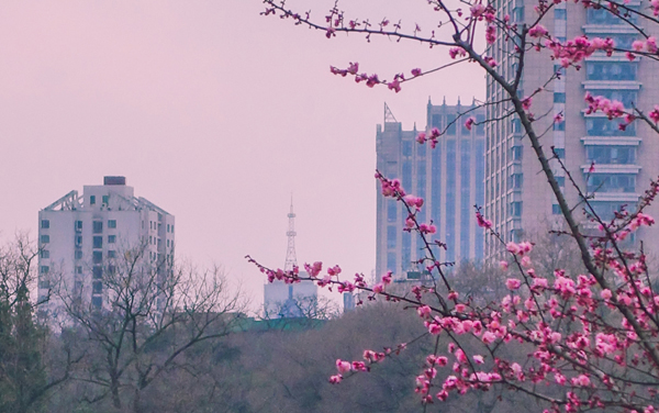 2021鲁东大学专业排名 哪些专业比较好