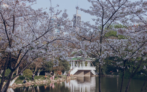 2019年内地新疆高中班毕业生普通高考录取本科二批次普通类理工 平行志愿院校投档分数情况统计（统招）